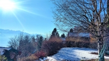 Photo N° 4